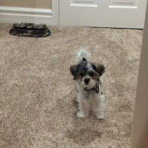 Meet your Posher, Chloe